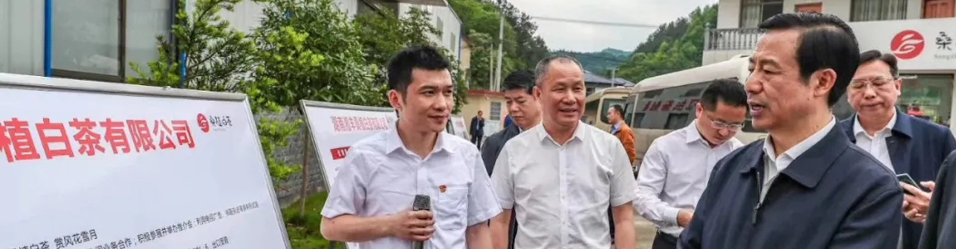 湖南省委副書記、省長(zhǎng)許達(dá)哲視察湘豐桑植白茶公司