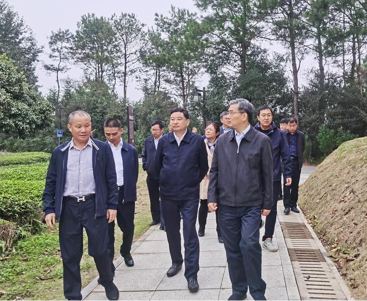 蘇州市市委副書記朱民一行考察湘豐茶業(yè)集團 蘇州市市委副書記朱民一行考察湘豐茶業(yè)集團