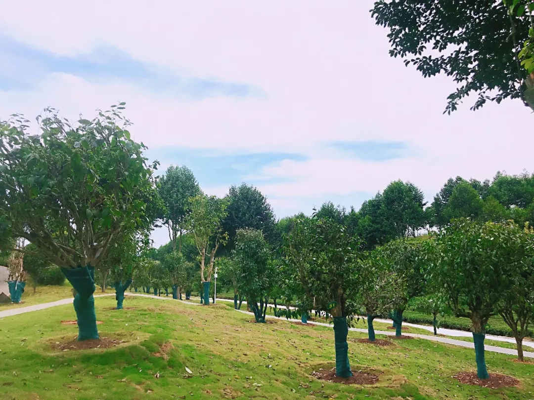 3.webp.jpg 3.webp.jpg