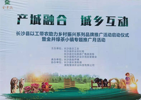 好喝更好看！湘豐茶業(yè)閃耀慧潤盈商小鎮(zhèn)“金井鎮(zhèn)專題推廣月活動”