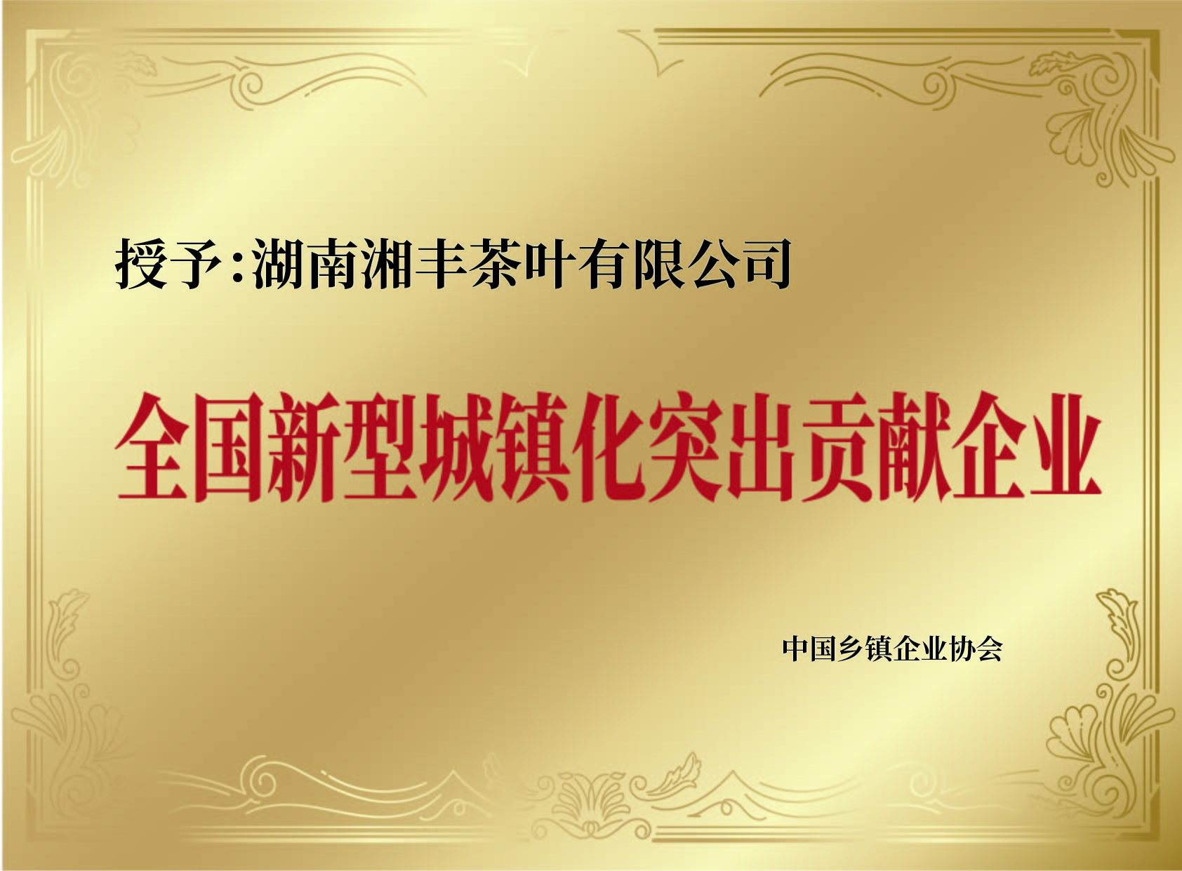 全國(guó)新型城鎮(zhèn)化突出貢獻(xiàn)企業(yè)