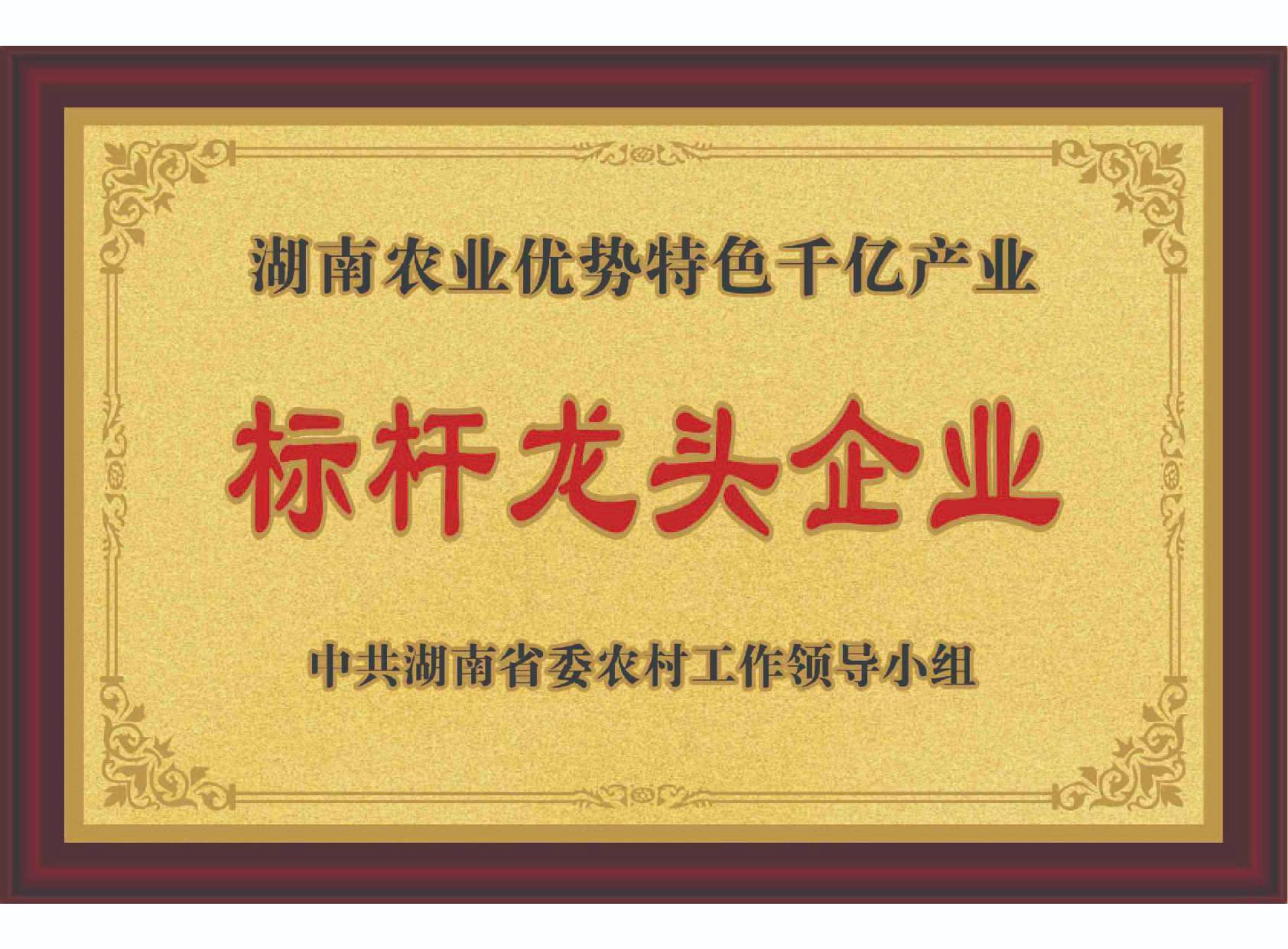 湖南農(nóng)業(yè)優(yōu)勢(shì)特色千億產(chǎn)業(yè)標(biāo)桿龍頭企業(yè)