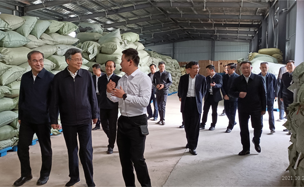 湖南省委常委、政法委書記李殿勛調(diào)研湖南湘豐桑植白茶有限公司