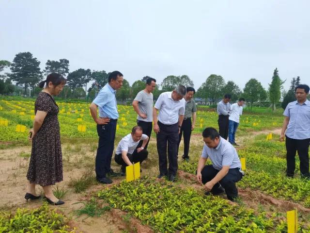 科技特派員在基地進行技術(shù)指導.jpg 科技特派員在基地進行技術(shù)指導.jpg