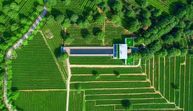 長沙縣金井鎮(zhèn).jpg 長沙縣金井鎮(zhèn).jpg