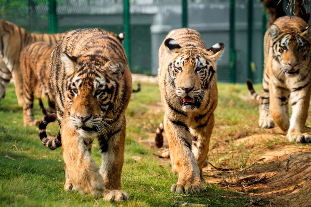 微信圖片_20220721113651.jpg 微信圖片_20220721113651.jpg