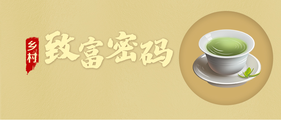 【鄉(xiāng)村振興“星”篇章】鄉(xiāng)村“致富密碼”·金井鎮(zhèn)湘豐村 【鄉(xiāng)村振興“星”篇章】鄉(xiāng)村“致富密碼”·金井鎮(zhèn)湘豐村