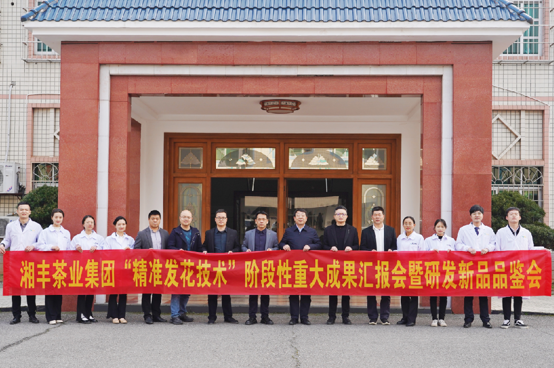湘豐茶業(yè)集團(tuán)“精準(zhǔn)發(fā)花技術(shù)”取得重大階段性成果！