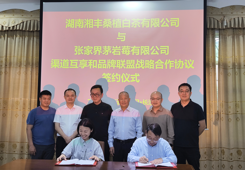 “白茶”“莓茶”牽手，品牌強(qiáng)強(qiáng)聯(lián)盟！