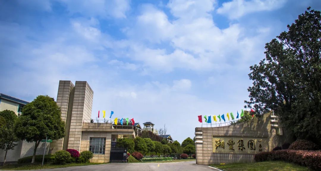 湘豐茶業(yè)集團獲認“2023年度農業(yè)農村信息化示范基地”！