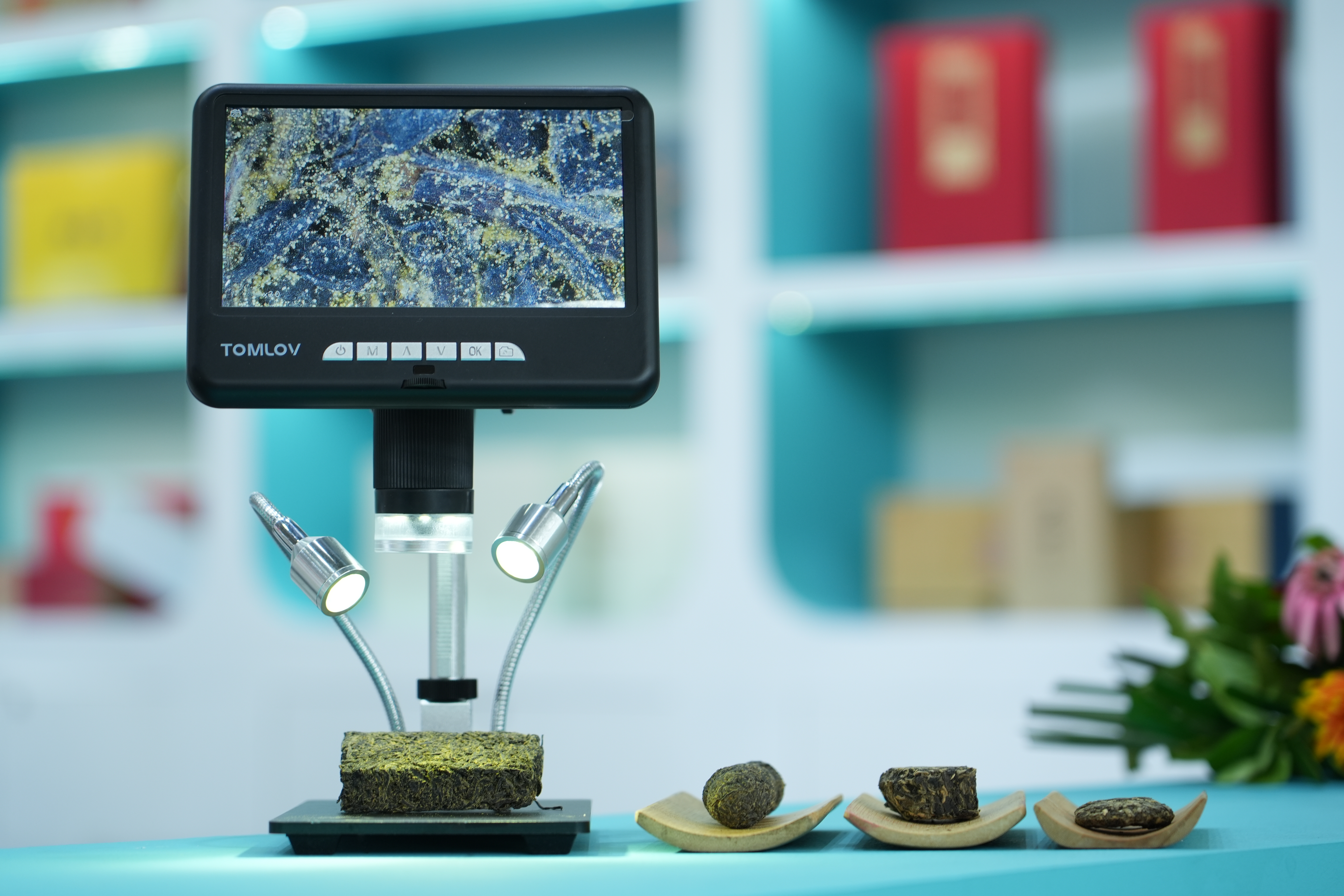 DSC09633(1).jpg DSC09633(1).jpg