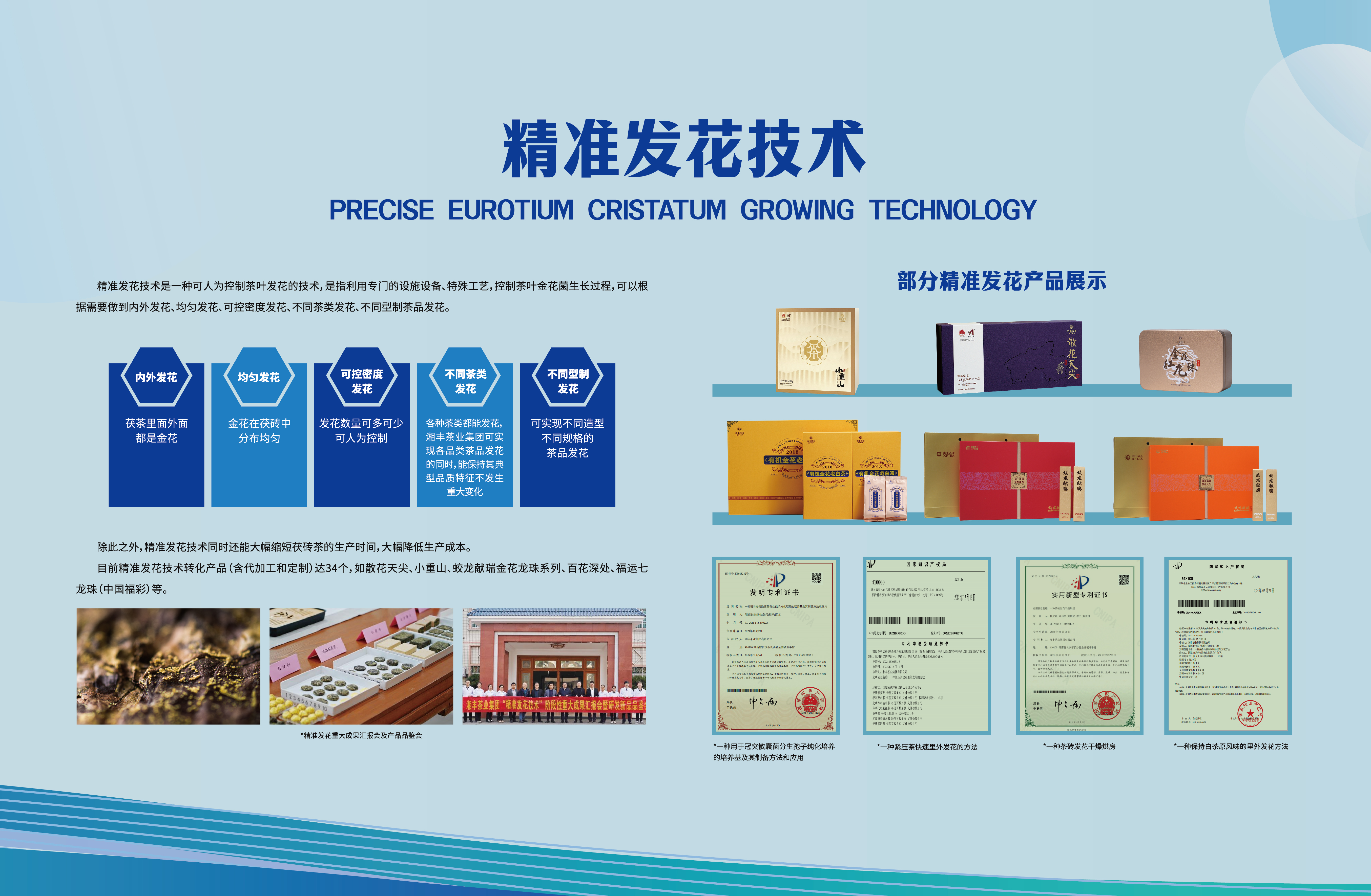 精準(zhǔn)發(fā)花技術(shù).jpg 精準(zhǔn)發(fā)花技術(shù).jpg