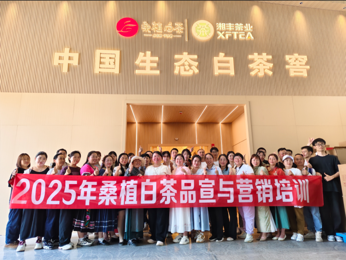 茶香賦能，紅色傳承丨湘豐桑植白茶品宣與營銷培訓(xùn)（第三期）