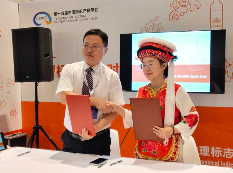 桑植白茶與海中優(yōu)選達(dá)成戰(zhàn)略合作